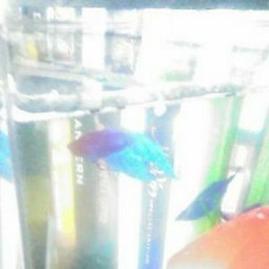 Meet your Posher, Kristopher